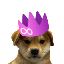 DogWif2.0LOGO