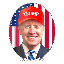 TrumpWifBidenLOGO