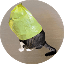 catwifbagLOGO