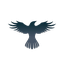 Raven ProtocolLOGO